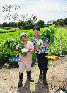 蜜桃AV在线播放 综艺节目
